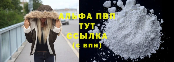 спиды Абаза