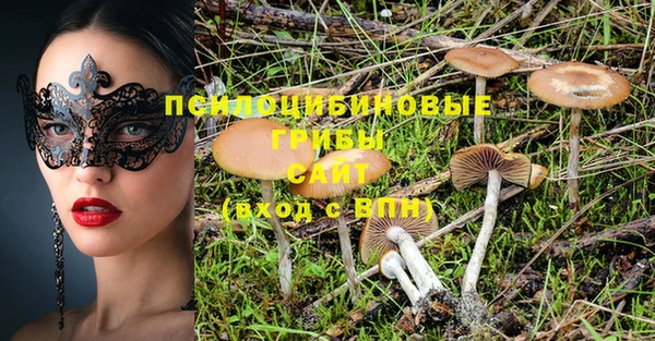 прущие грибы Абинск