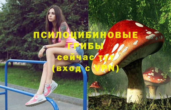 бошки Алзамай