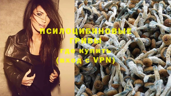 спиды Абаза