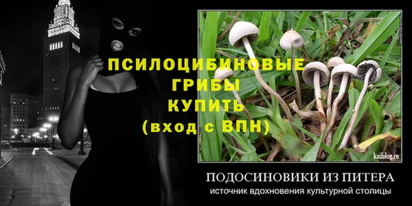 прущие грибы Абинск