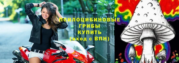 apvp Абдулино